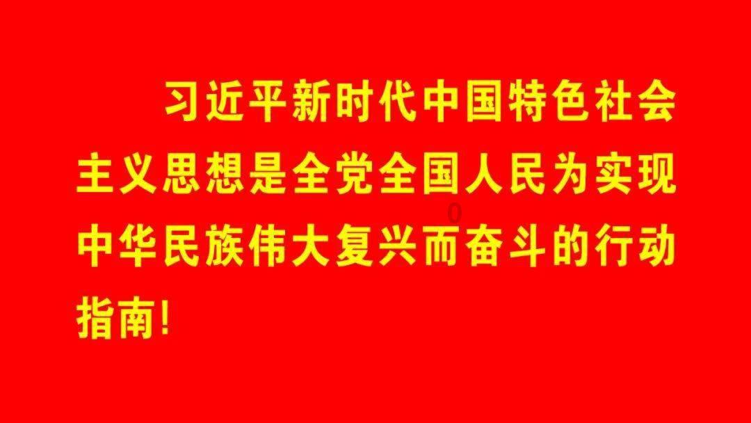 蓝狐视频