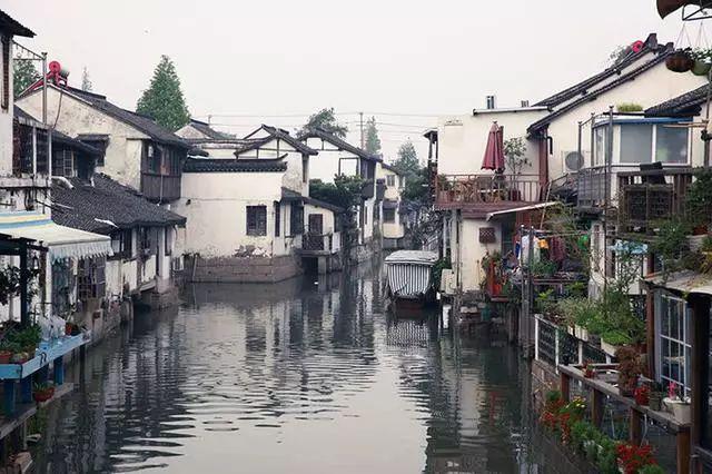 动物帮帮忙保卫家园